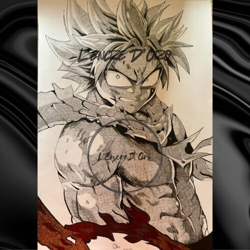 Dernier Dessin